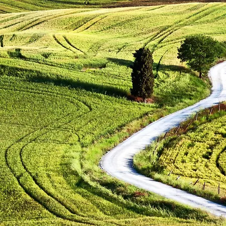 La Buca Di Bellugi * San Quirico dʼOrcia