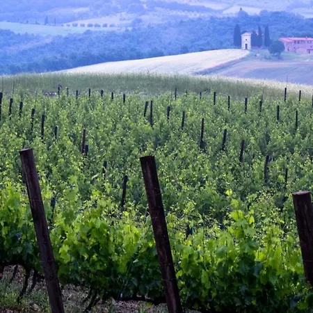 La Buca Di Bellugi San Quirico dʼOrcia