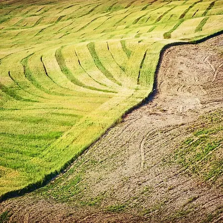 Gospodarstwo agroturystyczne La Buca Di Bellugi *