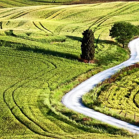 La Buca Di Bellugi *