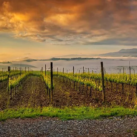 La Buca Di Bellugi
