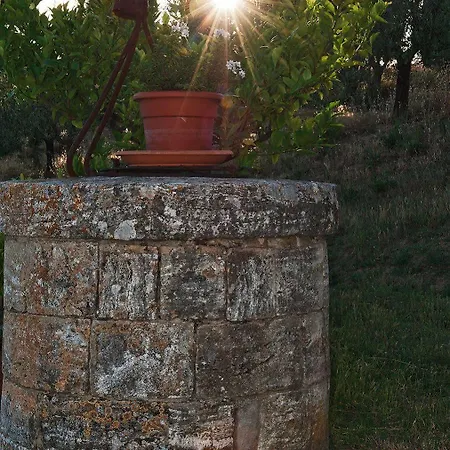 La Buca Di Bellugi San Quirico dʼOrcia